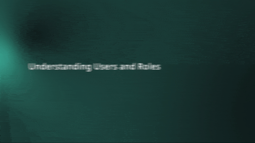 3deye - roles and permisions pu